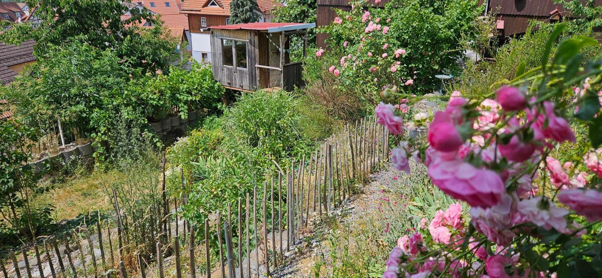 Waldheim Lindenfels Apartment Exterior foto